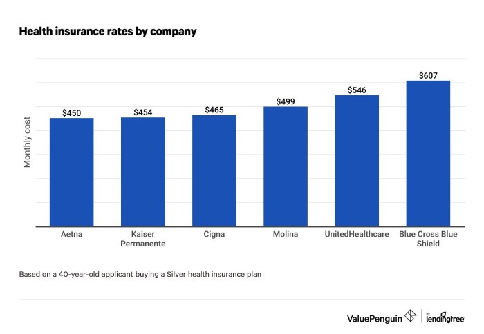 How Much Does Health Insurance Cost In The USA? | William Russell How Much Does Health Insurance Cost In The USA? | William Russell